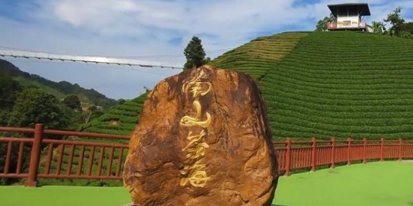 元游棋牌官方入口-大姨借了两次钱没还，今年过年，她又来借钱，妈妈的做法让人意外