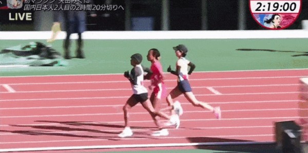 元游棋牌登录入口-从一败涂地到一鸣惊人，26岁的矢田美久首马219背后的故事